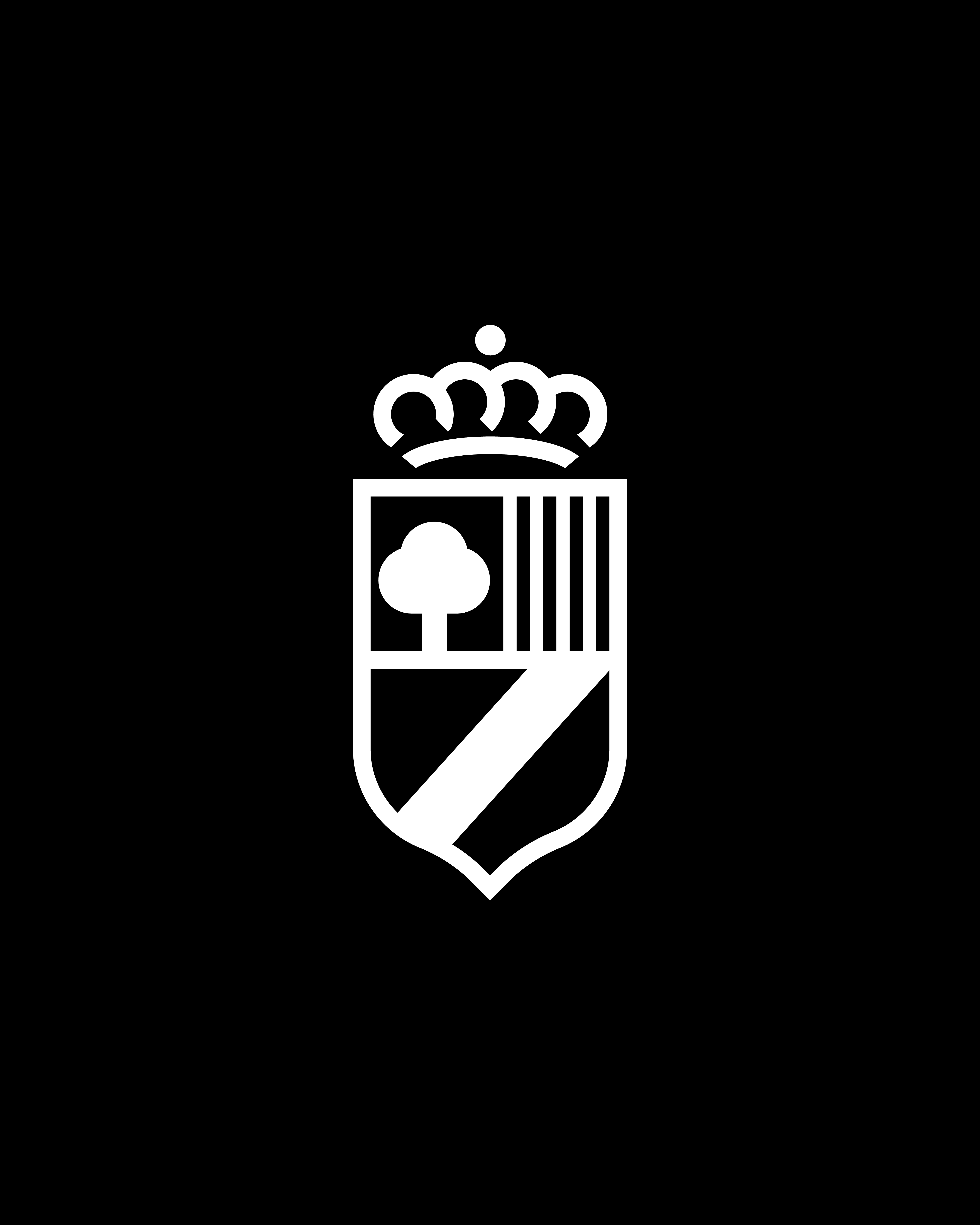 zayynt-04